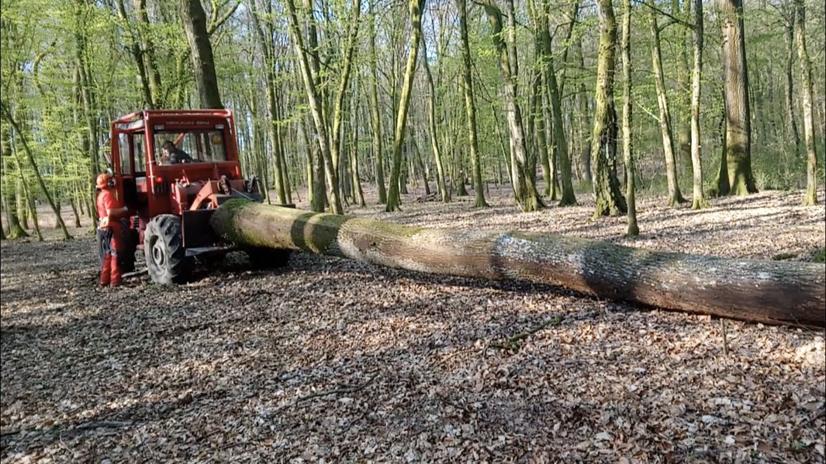 Nos réalisations avec du 100% &#8220;Made in Oberbronn&#8221; Brumath